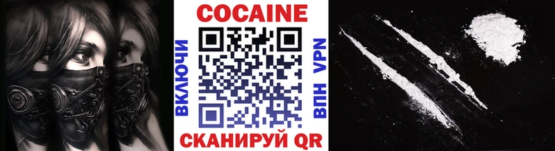 Кокаин FishScale  где купить наркоту  Андреаполь 